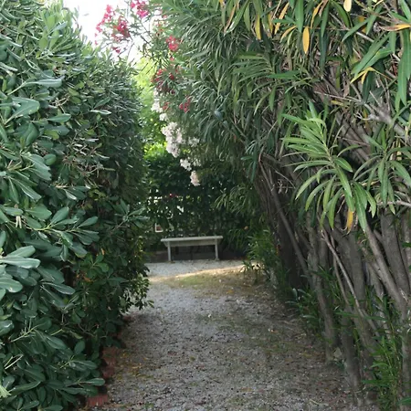 Versilia - Con Terrazzo *